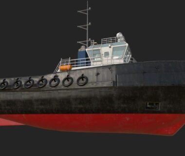 Ana Júlia Lopes Daros