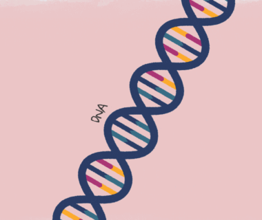 Ana Clara Miagushiko Martins