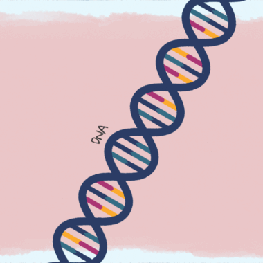 Ana Clara Miagushiko Martins