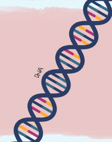 Ana Clara Miagushiko Martins