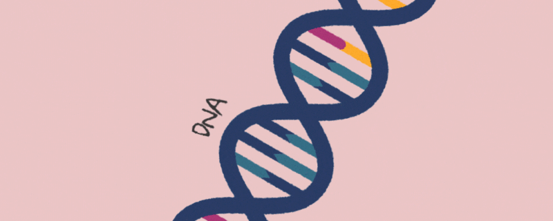 Ana Clara Miagushiko Martins